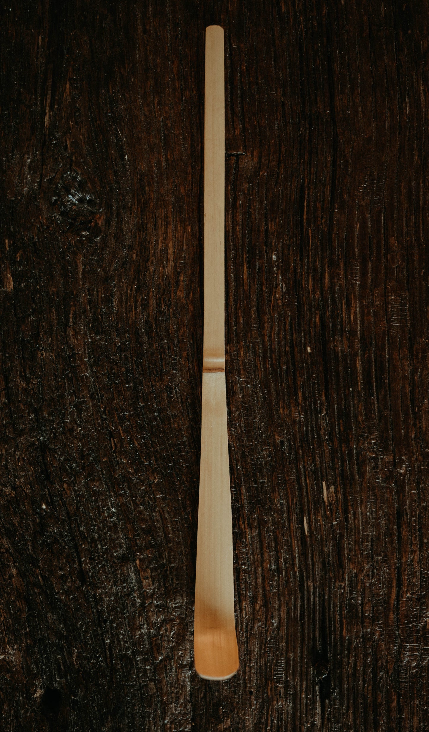 Zen Bamboo Scoop